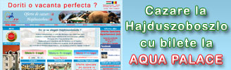 Oferte de cazare cu bilet la Aqua Palace Hajduszoboszlo